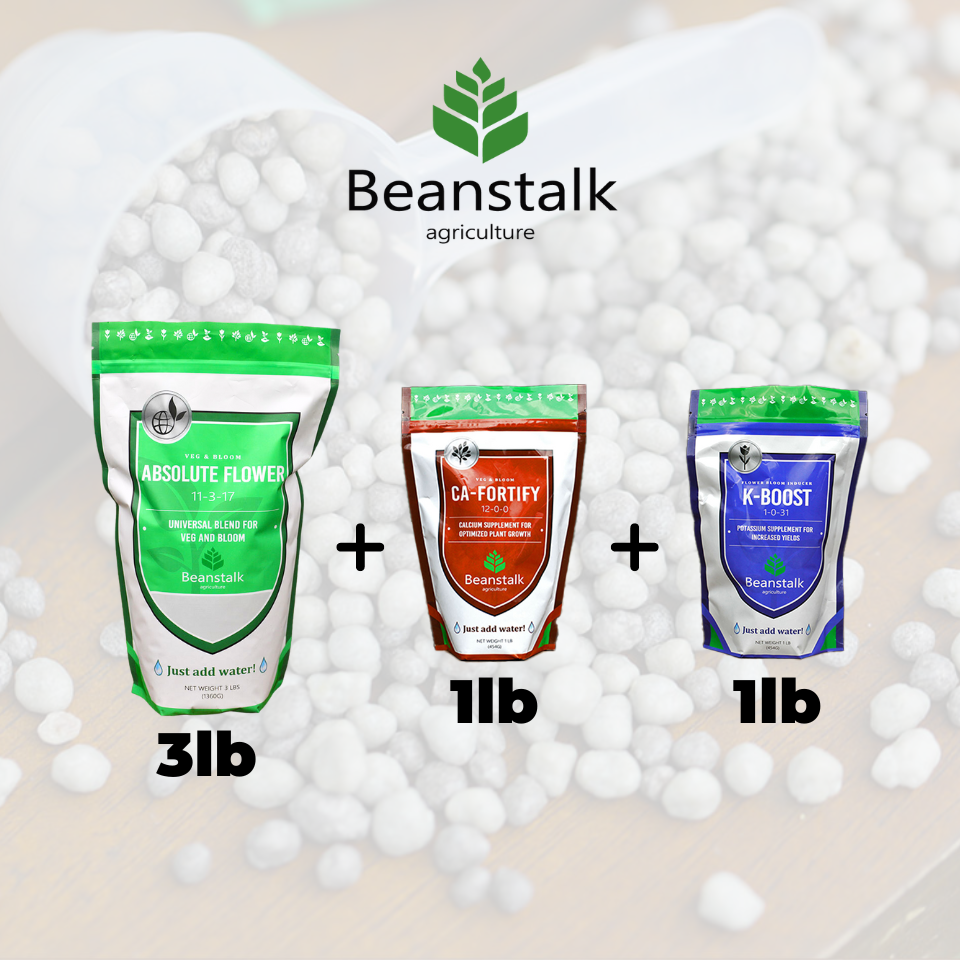 3-1-1 Beanstalk AF Bundle 3-1-1 Beanstalk AF Bundle