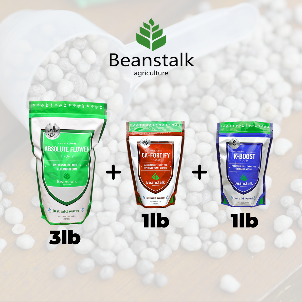 3-1-1 Beanstalk AF Bundle